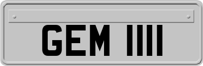 GEM1111