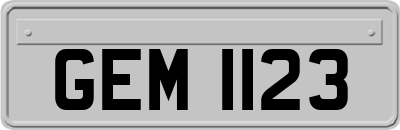 GEM1123