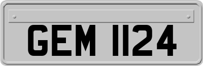 GEM1124