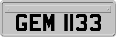 GEM1133