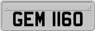 GEM1160