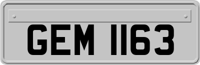 GEM1163