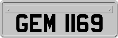 GEM1169