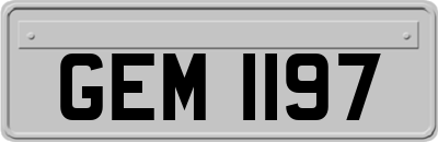 GEM1197