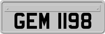 GEM1198