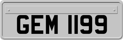 GEM1199