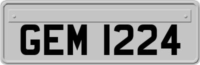 GEM1224