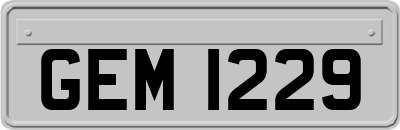 GEM1229