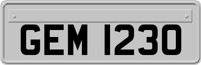 GEM1230