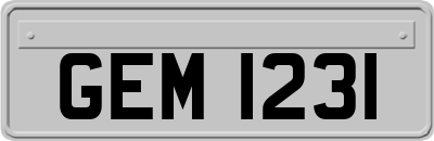 GEM1231