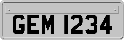 GEM1234