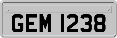 GEM1238