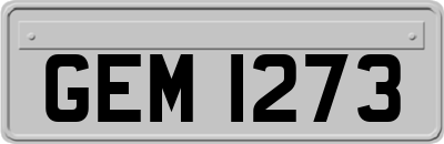 GEM1273