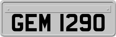 GEM1290