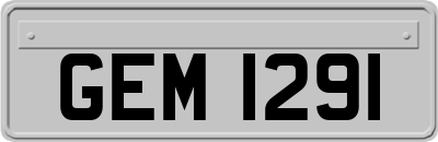 GEM1291