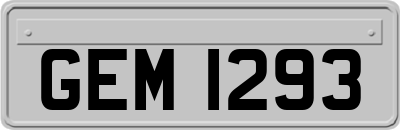 GEM1293