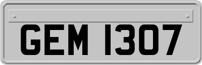 GEM1307