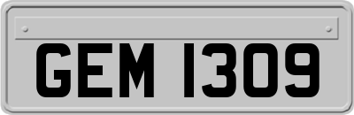 GEM1309