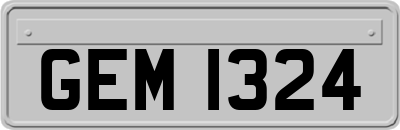 GEM1324