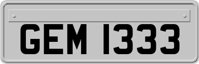GEM1333