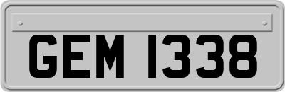 GEM1338