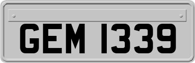 GEM1339