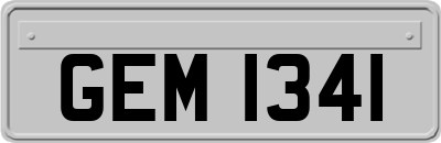 GEM1341