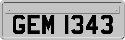 GEM1343