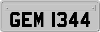 GEM1344