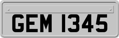 GEM1345