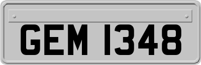 GEM1348