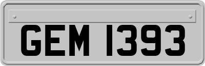 GEM1393