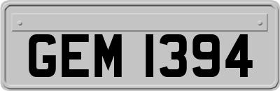 GEM1394