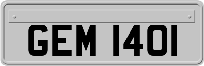 GEM1401