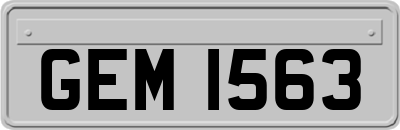 GEM1563