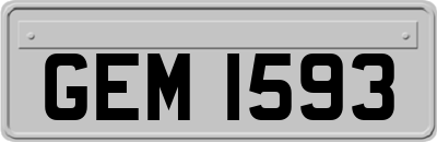 GEM1593