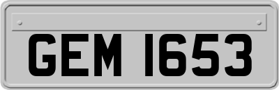 GEM1653