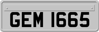 GEM1665