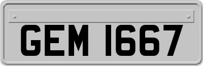 GEM1667