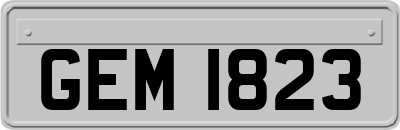 GEM1823