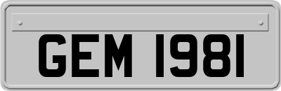 GEM1981