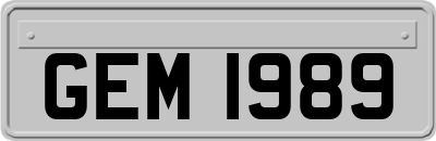 GEM1989