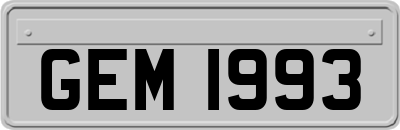 GEM1993