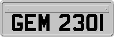 GEM2301