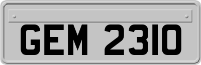GEM2310