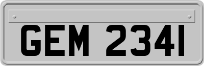 GEM2341
