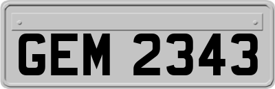 GEM2343