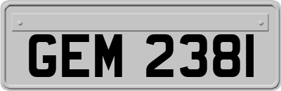 GEM2381
