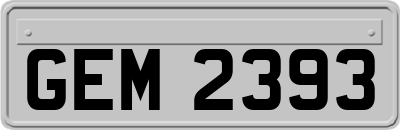 GEM2393