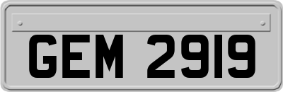GEM2919